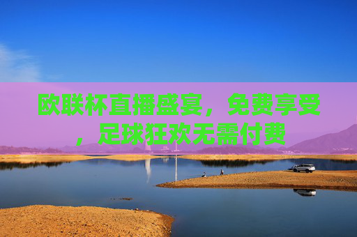 欧联杯直播盛宴，免费享受，足球狂欢无需付费