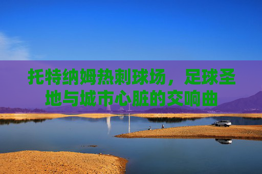 托特纳姆热刺球场，足球圣地与城市心脏的交响曲