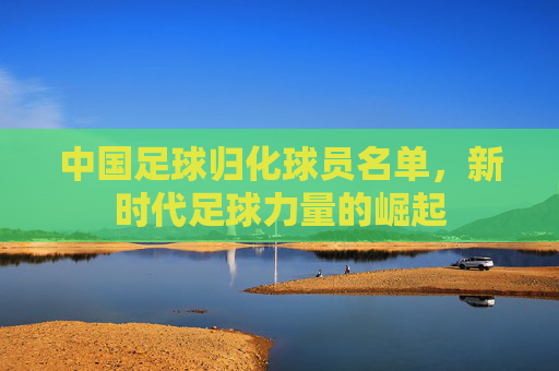中国足球归化球员名单，新时代足球力量的崛起