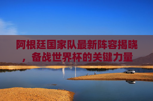阿根廷国家队最新阵容揭晓，备战世界杯的关键力量