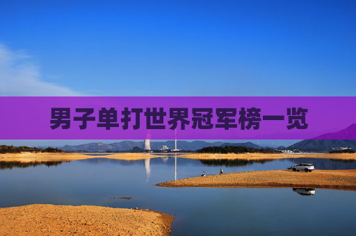 男子单打世界冠军榜一览