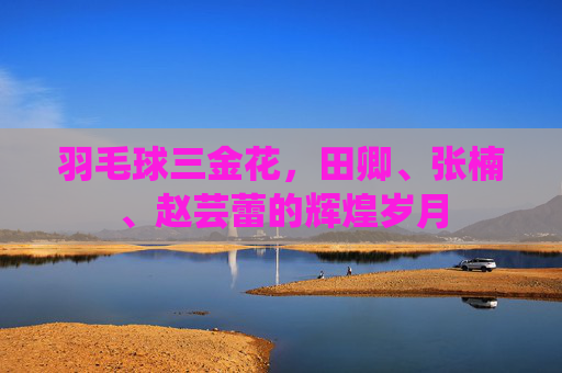 羽毛球三金花，田卿、张楠、赵芸蕾的辉煌岁月