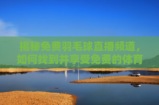 揭秘免费羽毛球直播频道，如何找到并享受免费的体育盛宴