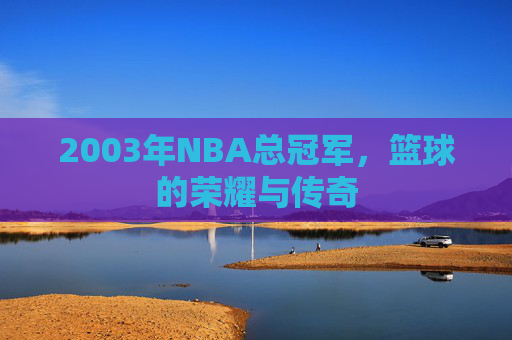 2003年NBA总冠军,篮球的荣耀与传奇 2003年NBA总冠军,篮球的荣耀与传奇