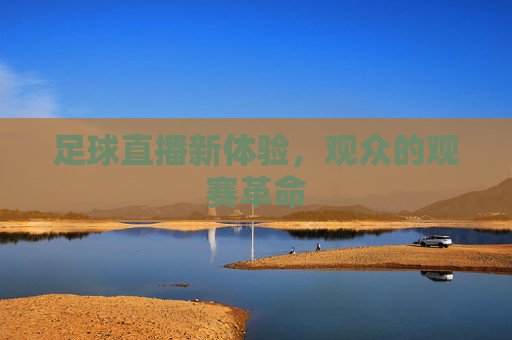 足球直播新体验，观众的观赛革命