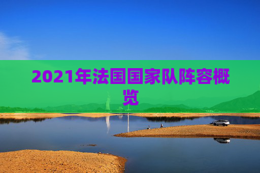 2021年法国国家队阵容概览