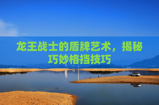 龙王战士的盾牌艺术，揭秘巧妙格挡技巧