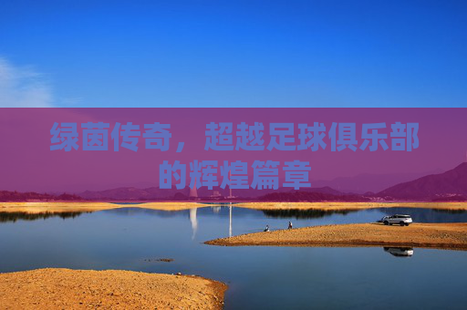 绿茵传奇，超越足球俱乐部的辉煌篇章