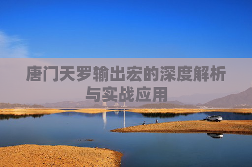 唐门天罗输出宏的深度解析与实战应用