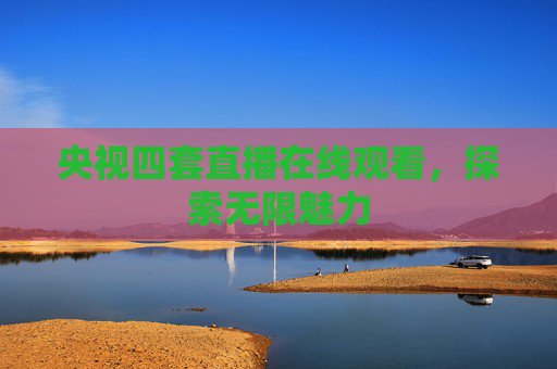 央视四套直播在线观看，探索无限魅力