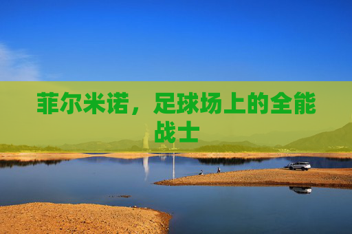 菲尔米诺，足球场上的全能战士