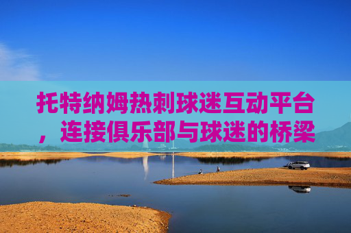 托特纳姆热刺球迷互动平台，连接俱乐部与球迷的桥梁
