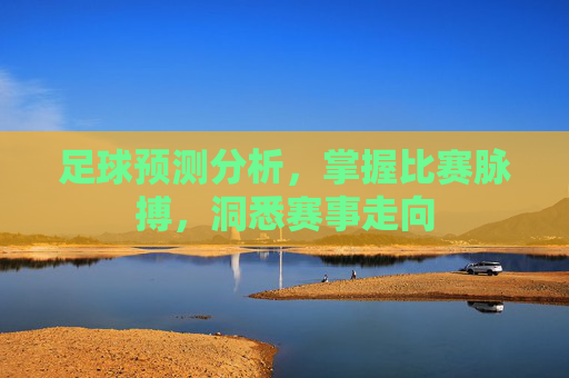 足球预测分析，掌握比赛脉搏，洞悉赛事走向