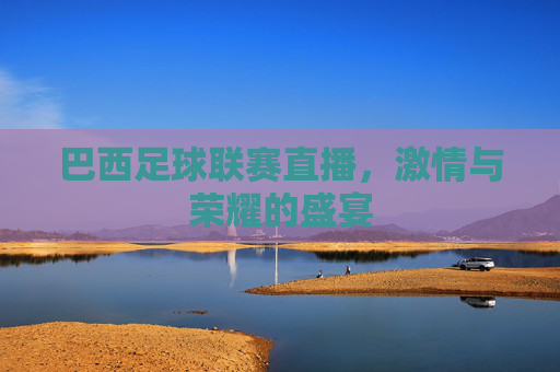 巴西足球联赛直播，激情与荣耀的盛宴