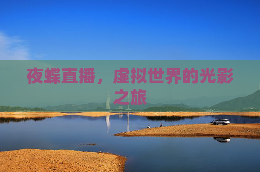 夜蝶直播，虚拟世界的光影之旅