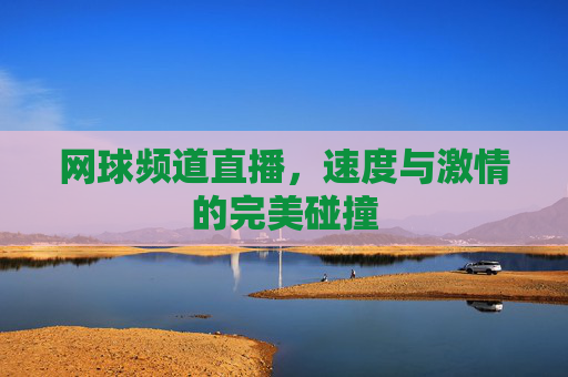 网球频道直播，速度与激情的完美碰撞