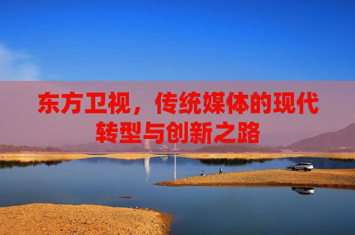 东方卫视，传统媒体的现代转型与创新之路