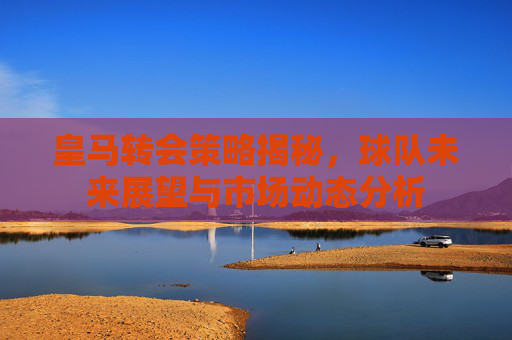 皇马转会策略揭秘，球队未来展望与市场动态分析
