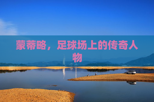 蒙蒂略，足球场上的传奇人物