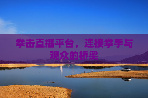 拳击直播平台，连接拳手与观众的桥梁