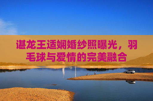 谌龙王适娴婚纱照曝光，羽毛球与爱情的完美融合