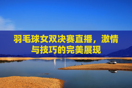 羽毛球女双决赛直播，激情与技巧的完美展现