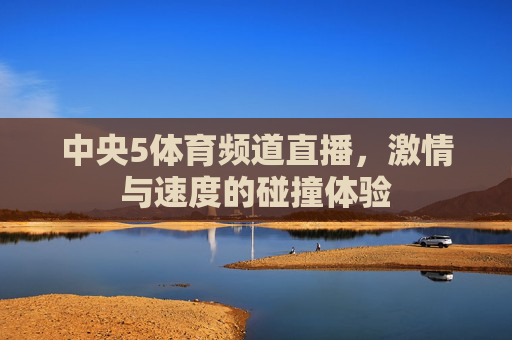 中央5体育频道直播，激情与速度的碰撞体验