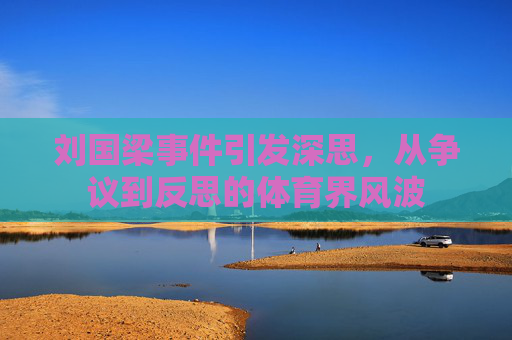 刘国梁事件引发深思，从争议到反思的体育界风波