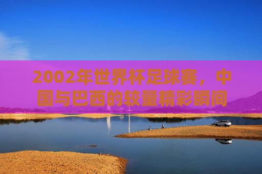 2002年世界杯足球赛，中国与巴西的较量精彩瞬间