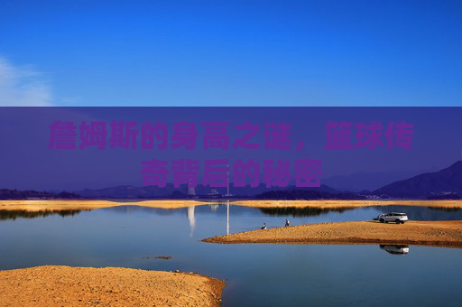 詹姆斯的身高之谜，篮球传奇背后的秘密