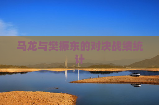 马龙与樊振东的对决战绩统计