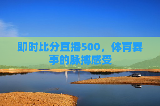 即时比分直播500，体育赛事的脉搏感受