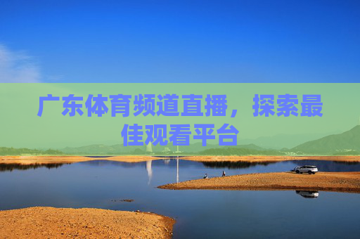 广东体育频道直播，探索最佳观看平台