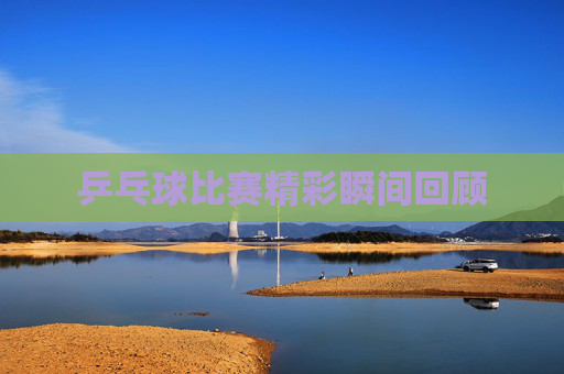 乒乓球比赛精彩瞬间回顾