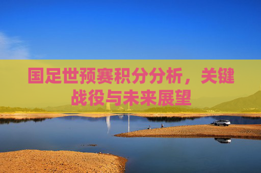 国足世预赛积分分析，关键战役与未来展望