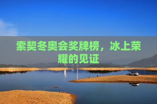 索契冬奥会奖牌榜，冰上荣耀的见证