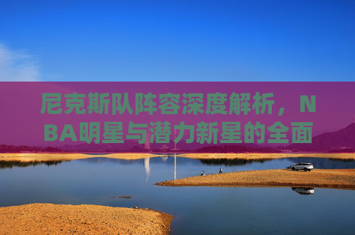 尼克斯队阵容深度解析，NBA明星与潜力新星的全面展示