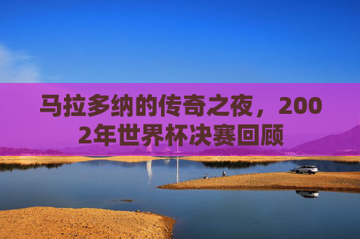 马拉多纳的传奇之夜，2002年世界杯决赛回顾