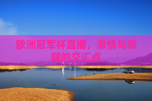 欧洲冠军杯直播，激情与荣耀的交汇点
