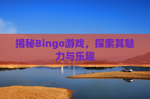 揭秘Bingo游戏,探索其魅力与乐趣 揭秘Bingo游戏,探索其魅力与乐趣