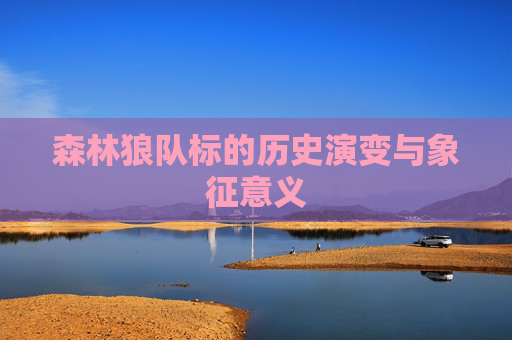 森林狼队标的历史演变与象征意义