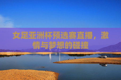 女足亚洲杯预选赛直播，激情与梦想的碰撞