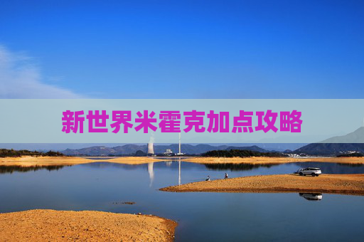 新世界米霍克加点攻略