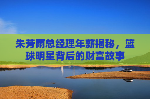朱芳雨总经理年薪揭秘，篮球明星背后的财富故事