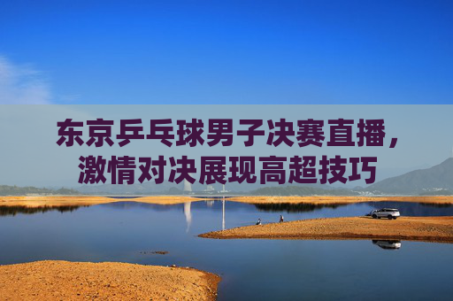 东京乒乓球男子决赛直播，激情对决展现高超技巧