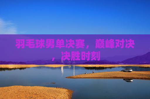 羽毛球男单决赛，巅峰对决，决胜时刻