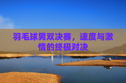 羽毛球男双决赛，速度与激情的终极对决
