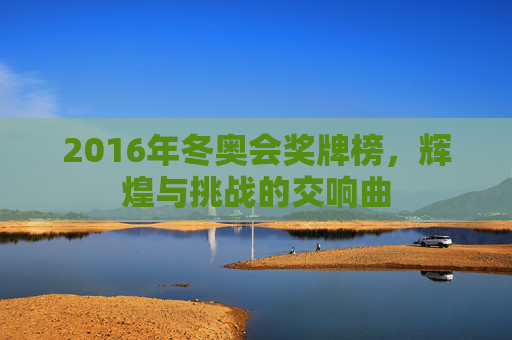 2016年冬奥会奖牌榜，辉煌与挑战的交响曲
