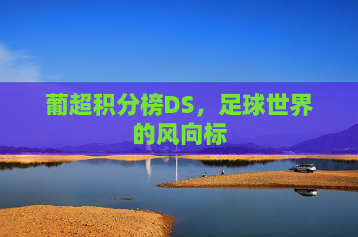 葡超积分榜DS，足球世界的风向标