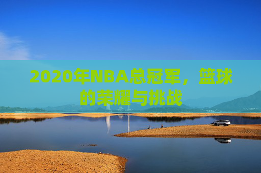 2020年NBA总冠军，篮球的荣耀与挑战